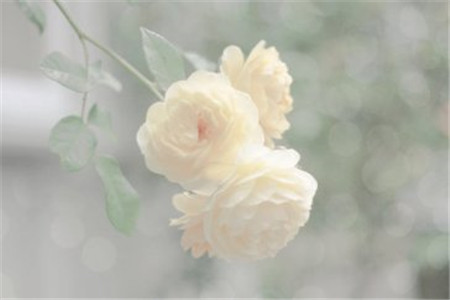 云南成人高考試題簡(jiǎn)單，錄取分?jǐn)?shù)線低，隨便考考就能過嗎？