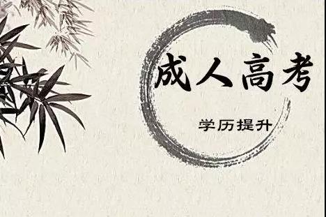 云南成考什么專業好過