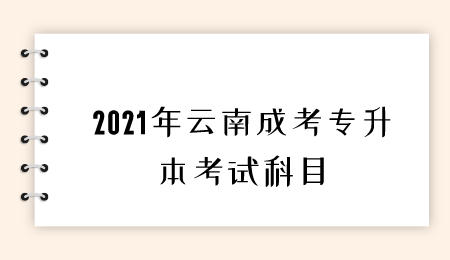 云南成考專(zhuān)升本