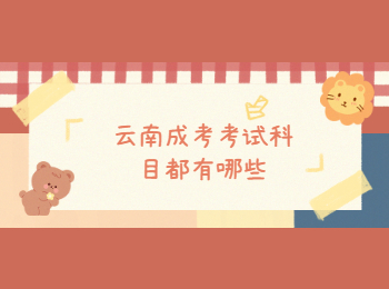 云南成考考試科目