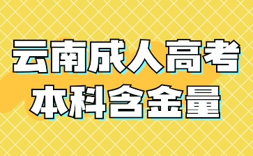 2024年云南成人高考本科學(xué)歷畢業(yè)含金量怎么樣？