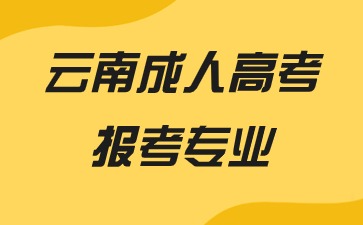 2024年云南成人高考報(bào)考專業(yè)推薦有哪些？