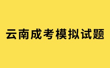 2024年云南成考高起點(diǎn)英語練習(xí)題及答案(2)